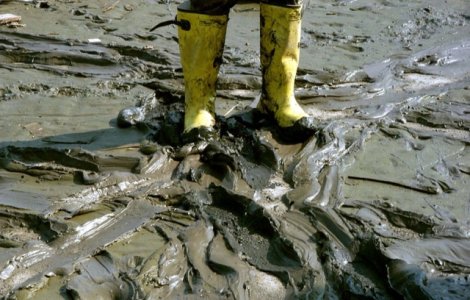 Cel putin 14 morti in apropiere de Atena, in urma unor ploi diluviene