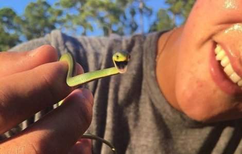  Top  10 imagini simpatice care te vor ajuta sa-ti depasesti frica de serpi