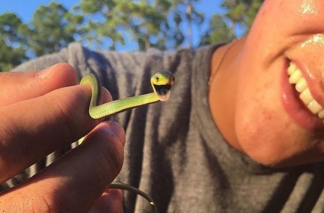 Ti-e frica de serpi? 10 imagini simpatice care te vor ajuta sa-ti depasesti fobia