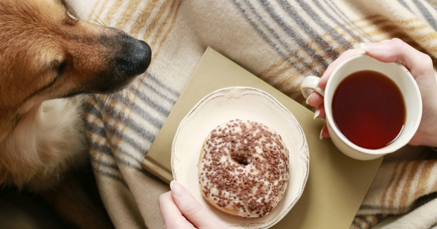  Top  Lucruri banale din casa ta care iti pot imbolnavi animalul de companie