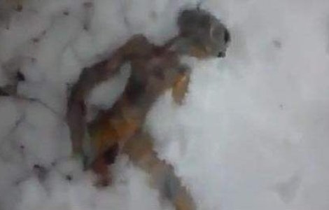  Video  Extraterestru inghetat gasit in Rusia