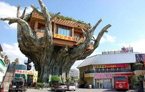  Top  TOP 8: Cele mai neobisnuite cafenele din lume