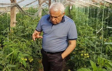 Petre Daea: In acest an s-au inregistrat recorduri istorice la noua culturi agricole