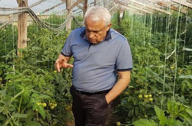 Petre Daea: In acest an s-au inregistrat recorduri istorice la noua culturi agricole