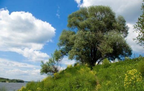 Cum va fi vremea de Paste?