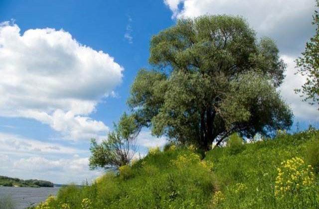 Cum va fi vremea de Paste?