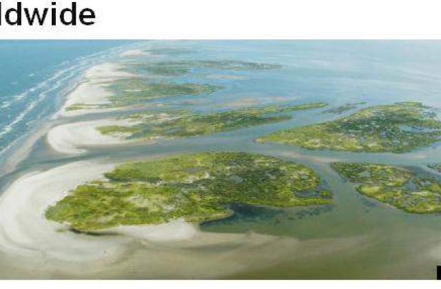 S-au descoperit 657 de insule noi