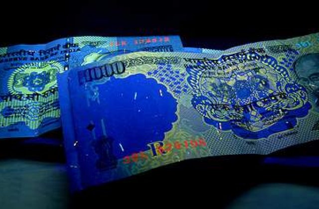 Termitele care au devorat 10 milioane de rupii