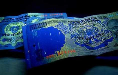 Termitele care au devorat 10 milioane de rupii