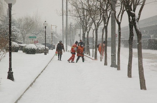 Sapte judete vor fi sub cod portocaliu de ninsori si viscol, de luni; in majoritatea zonelor, avertizare de ploi