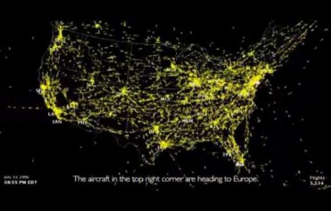  Video  Roi de albine sau avioane?