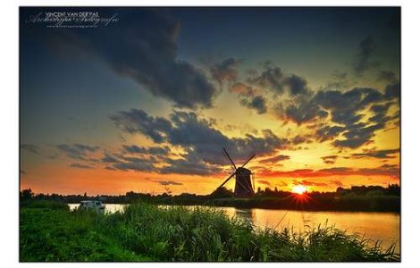 Romanii, fara drept de munca in Olanda?