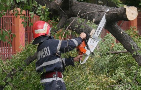 Patru masini au fost avariate dupa ce un copac s-a prabusit peste ele, in Bucuresti