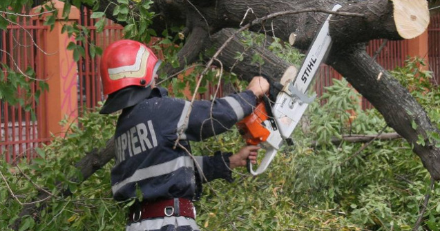 Patru masini au fost avariate dupa ce un copac s-a prabusit peste ele, in Bucuresti