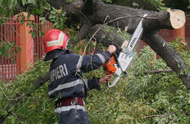 Patru masini au fost avariate dupa ce un copac s-a prabusit peste ele, in Bucuresti