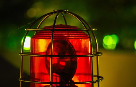 Legea ciudata propusa de PSD. Dupa ce au fost denuntati de USR, au sustinut ca a fost o "gluma"