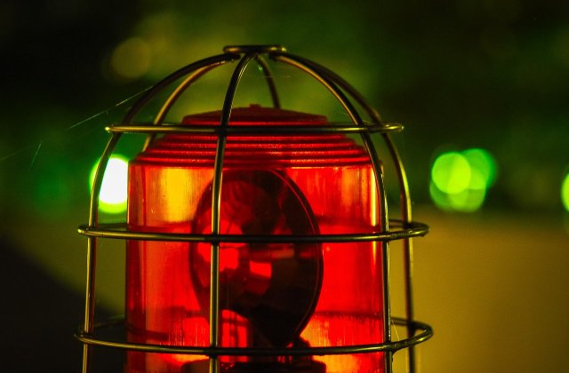 Legea ciudata propusa de PSD. Dupa ce au fost denuntati de USR, au sustinut ca a fost o "gluma"