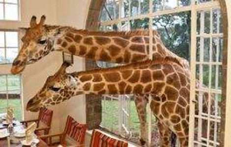 Destinatii de lux inedite!