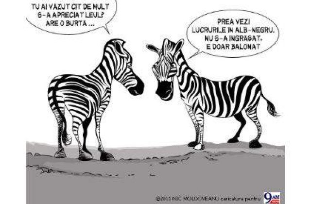 "Tu ai vazut cat s-a apreciat leul?"