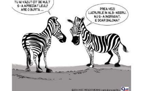 "Tu ai vazut cat s-a apreciat leul?"