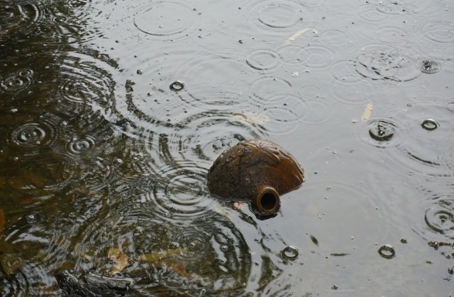 Cod GALBEN de inundatii in 14 judete, pana duminica dimineata
