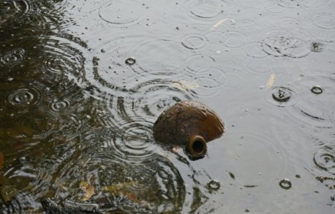 Cod GALBEN de inundatii in 14 judete, pana duminica dimineata