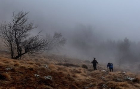 Cod galben de ceata in cinci judete