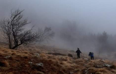 Cod galben de ceata in cinci judete