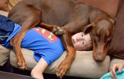  Top  Sunt adorabili! 10 caini care nu inteleg conceptul de spatiu personal