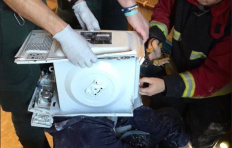 Un tanar a ramas cu capul blocat in cuptorul cu microunde