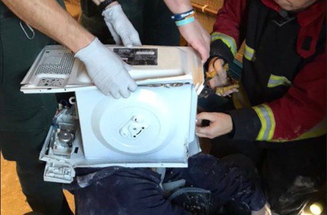 Un tanar a ramas cu capul blocat in cuptorul cu microunde