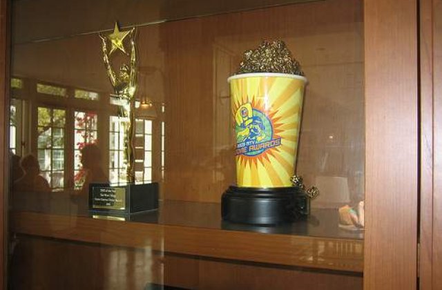 Nominalizarile la MTV Movie Awards