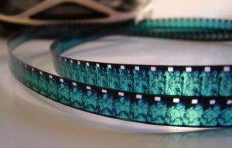  Top  Ce filme intra in competitia TIFF?