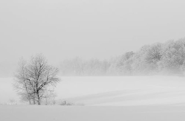 ANM: Intensificari ale vantului si transport de zapada in zone montane inalte