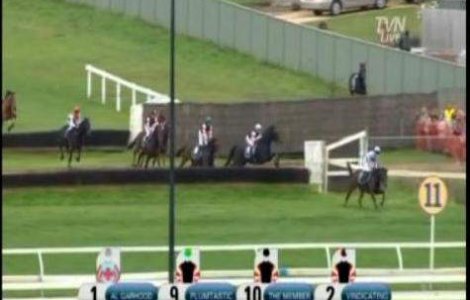  Video  Hipism: Un cal a sarit in multime si a ranit sapte oameni