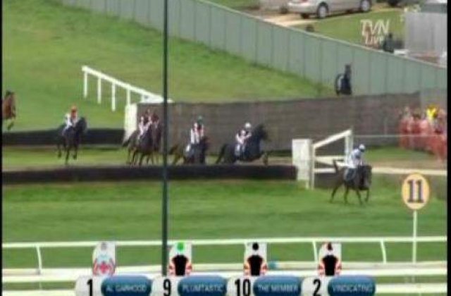 [VIDEO] Hipism: Un cal a sarit in multime si a ranit sapte oameni