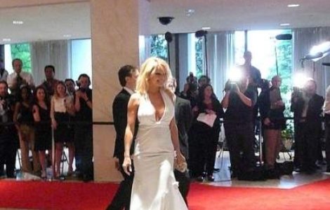  Top  Top 10 silicoane de Hollywood