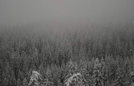  Video  Cand scapam de frig?