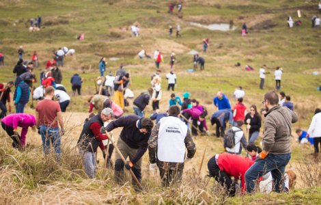 Peste 1000 de voluntari au plantat padurea Jysk in Sotanga