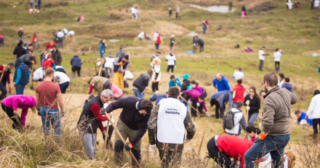 Peste 1000 de voluntari au plantat padurea Jysk in Sotanga