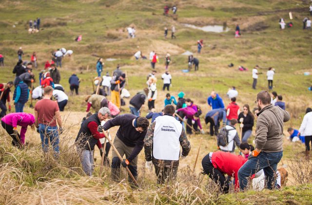 Peste 1000 de voluntari au plantat padurea Jysk in Sotanga