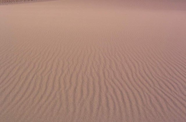 Inotator austriac, salvat de la inec in...nisip!