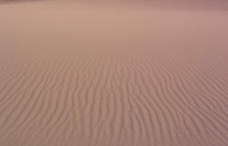 Inotator austriac, salvat de la inec in...nisip!