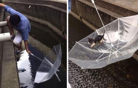  Top  10 imagini care te vor face sa-ti recapeti increderea in oameni