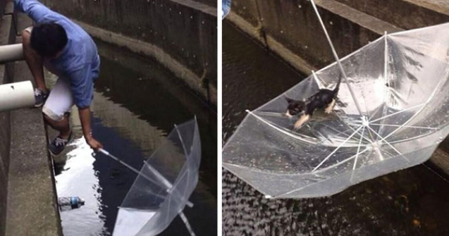  Top  10 imagini care te vor face sa-ti recapeti increderea in oameni