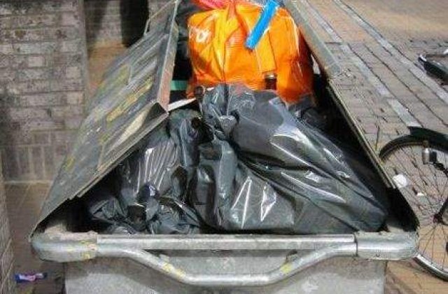 Cat ne costa un sistem national de colectare selectiva a deseurilor