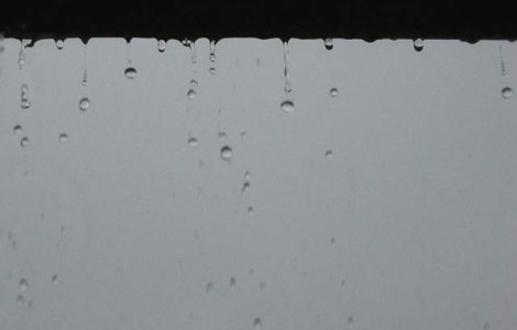 Ploua in Palatul Victoria! Functionarii isi acopera computerele cu celofan