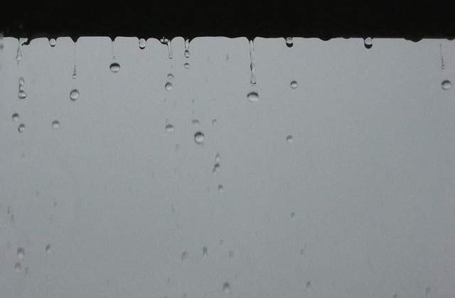 Ploua in Palatul Victoria! Functionarii isi acopera computerele cu celofan