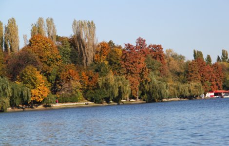 Parcul Herastrau se va numi "Regele Mihai I"