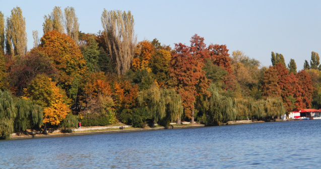Parcul Herastrau se va numi "Regele Mihai I"